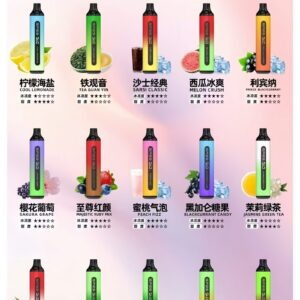 SP2S 7000 Puffs 大容量拋棄式電子菸 (ILIA PUFF)