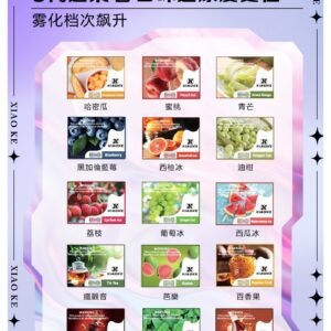 XIAOKE 可替換式電子煙 (相容 RELX6代) (推薦款)